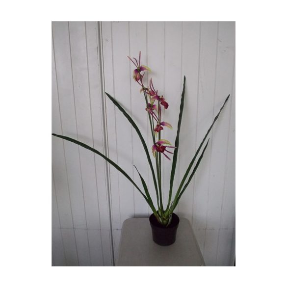 Orchidea 3 szálas 70cm (műanyag cserépben) - Lila