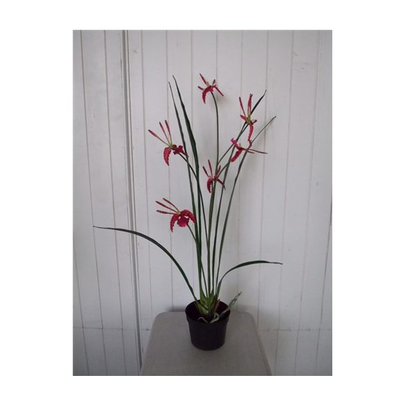 Orchidea 3 szálas 70cm (műanyag cserépben) - Piros