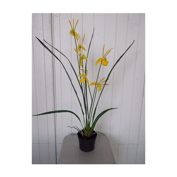 Orchidea 3 szálas 70cm (műanyag cserépben) - Sárga
