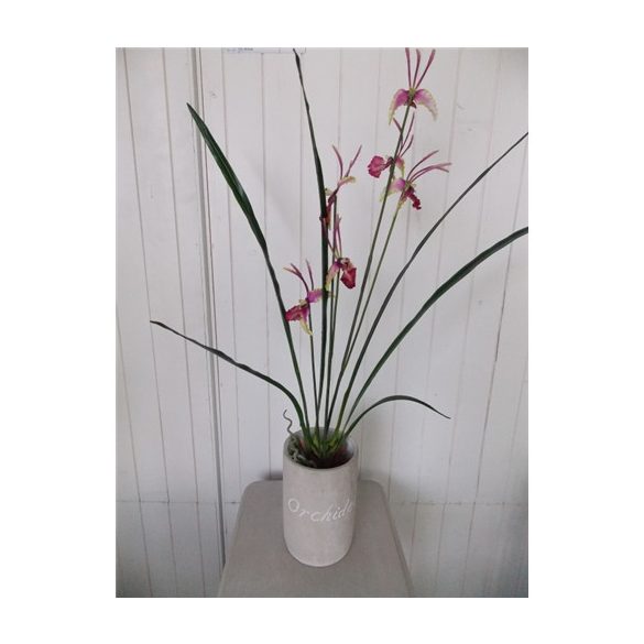 Orchidea 3 szálas lila 70cm kaspóban