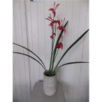 Orchidea 3 szálas 70cm kaspóban - Piros