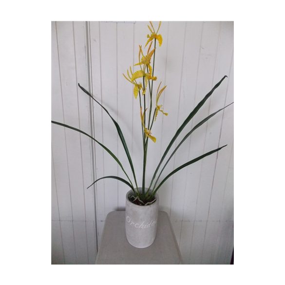 Orchidea 3 szálas 70cm kaspóban - Sárga