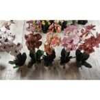 Orchidea gumi ültetett több színben 60-65cm