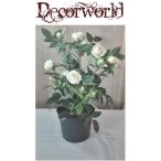 Ültett rózsa műa. cserépben 36cm krém