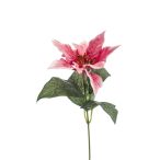 Poinsettia Pick 18cm - Rózsaszín /db