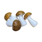 Gomba hungarocell 10cm - Barna S/4