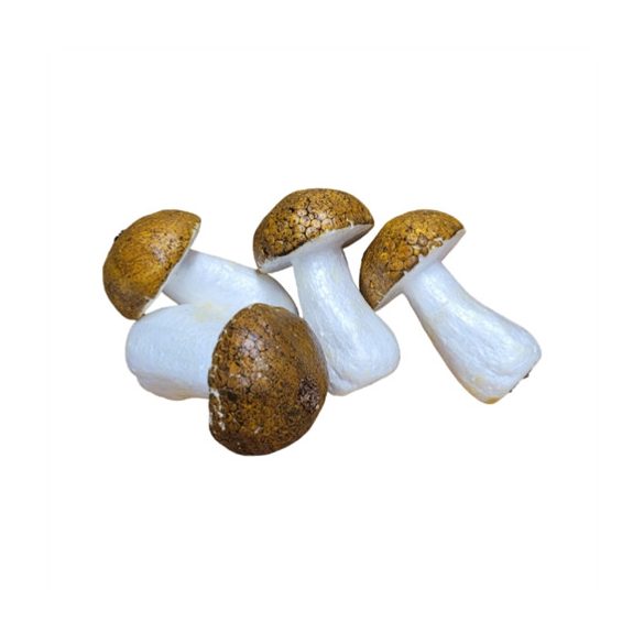 Gomba hungarocell 10cm - Barna S/4