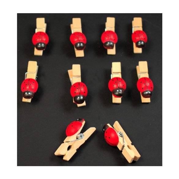 Katicabogár csipesz fa 35x13x18mm 12db/csom.