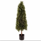 Buxus 120 cm cserépben UV álló