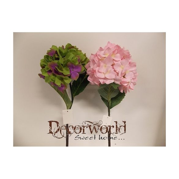 Selyemvirág hortenzia több szín