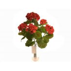 Muskátli csokor 37 cm - Piros