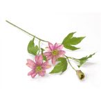 Iszalag 70cm - Rózsaszín