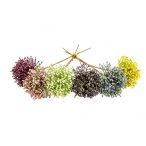 Fokhagyma virág 25 cm - 6 színben