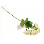 Boglárka ág 50 cm - Krém