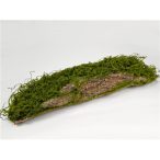 Mohás fa rönk 65 cm