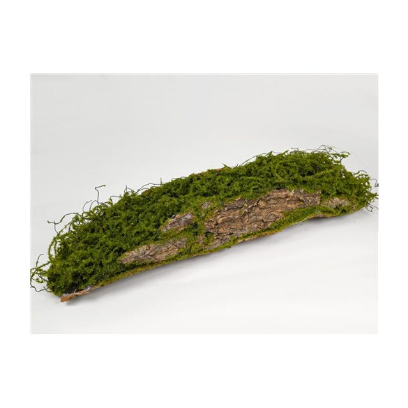 Mohás fa rönk 65 cm