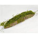 Mohás fa rönk 40 cm