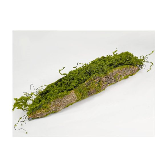 Mohás fa rönk 40 cm