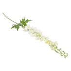 Delfiniumas Szarkaláb 105 cm - Fehér