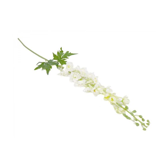 Delfiniumas Szarkaláb 105 cm - Fehér