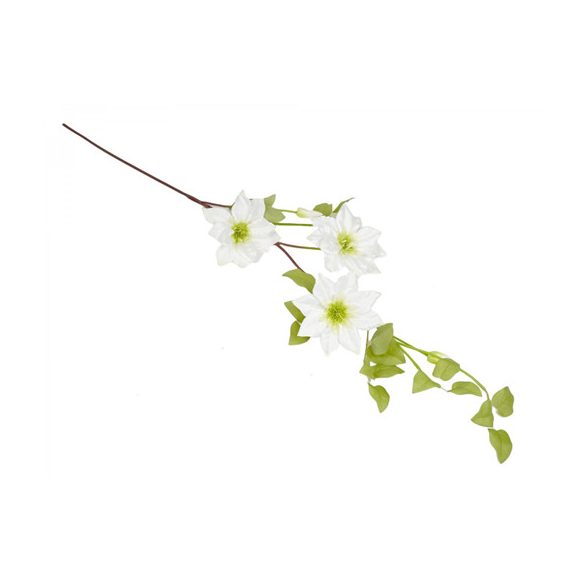 Clematis ragané 95cm - Fehér