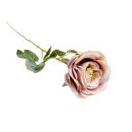 Rózsa ág 55cm - Púder