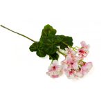 Muskátli 63 cm - Rózsaszín