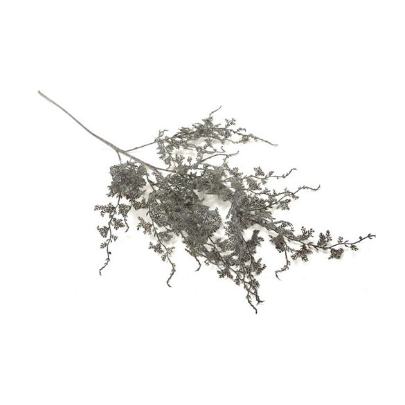 Fehérített szürke ág