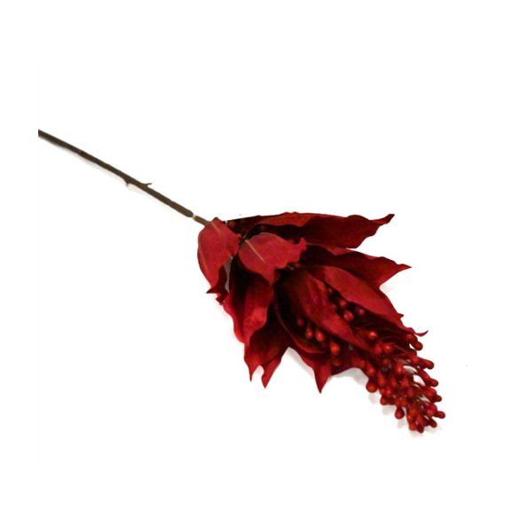 Medinilla szerelemvirág 76cm - Piros