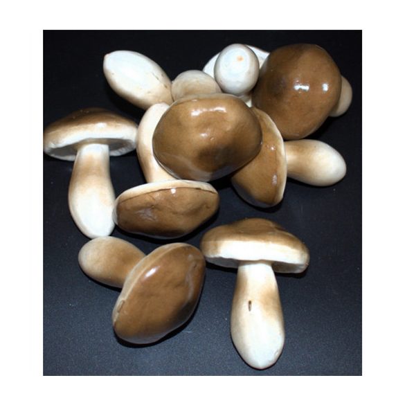 Betűző gomba vargánya 5cm - Barna S/9