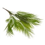 Pálma ág x10 ág 99 cm