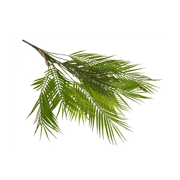 Pálma ág x10 ág 99 cm