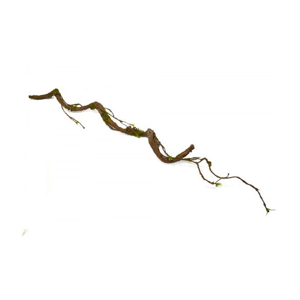 Lián ág 107 cm - Barna