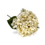Hortenzia fej 20cm - Krém