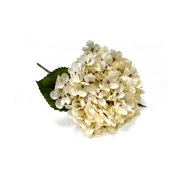 Hortenzia fej 20cm - Krém