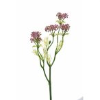 Selyemvirág Csillagvirág rózsaszín 49cm