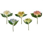 Hortenzia szálas 35cm - 5féle