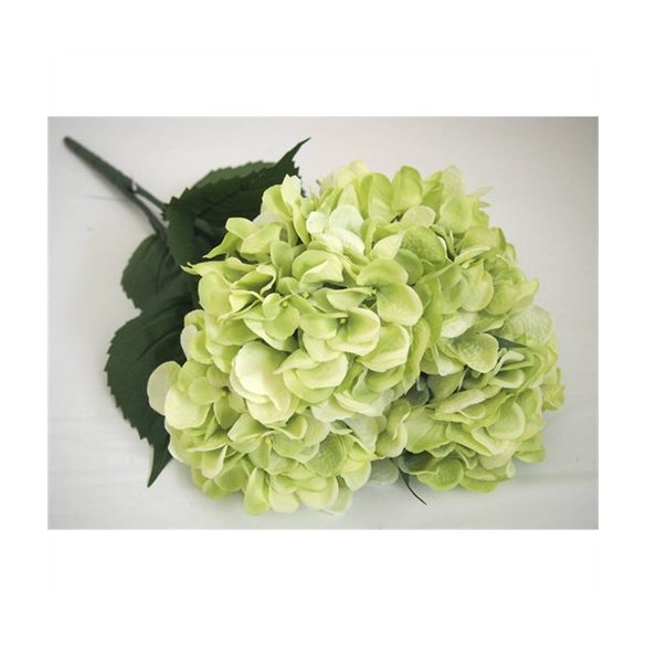Hortenzia csokor x5 zöld