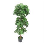 Schefflera fa 125cm (műanyag cserépben)