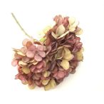 Hortenzia száraz t.roza