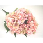 Hortenzia csokor x5 rózsaszín / zöld