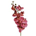 Orchidea ág - rózsaszín / krém