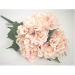 Hortenzia csokor x5 barack