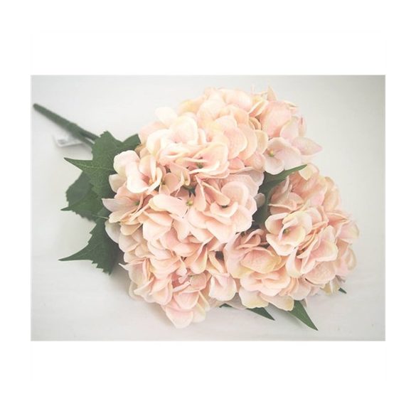 Hortenzia csokor x5 barack