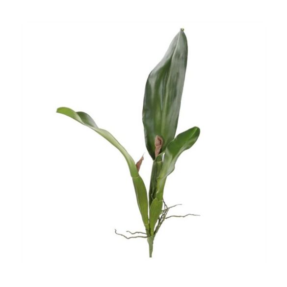 Orchidea levelek Cattleya 53cm - Zöld