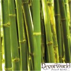 PPD Szalvéta 33x33cm Green Bamboo  20db