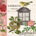 PPD Szalvéta 33x33cm Oiseaux  20db