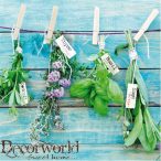 PPD Szalvéta 33x33cm Herbs Mix