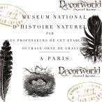 PPD Szalvéta 33x33cm Script