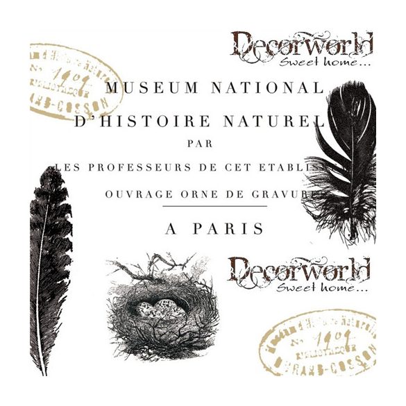 PPD Szalvéta 33x33cm Script